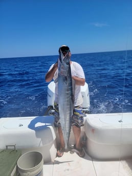 Wahoo Fishing in Pompano Beach, Florida