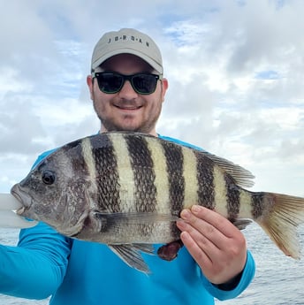 Sheepshead fishing in Mount Pleasant, South Carolina