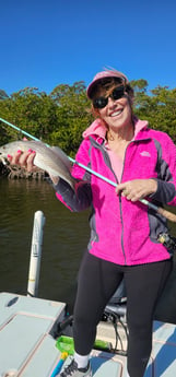 Fishing in Naples, Florida