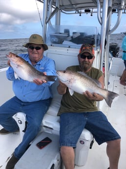 Mangrove Snapper fishing in Surfside Beach, Texas