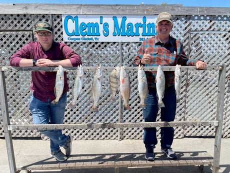 Black Drum, Redfish, Speckled Trout / Spotted Seatrout fishing in Corpus Christi, Texas