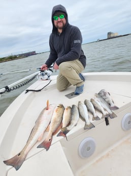 Redfish, Speckled Trout Fishing in Galveston, Texas