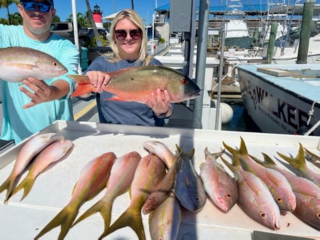 Mutton Snapper, Yellowtail Snapper Fishing in Islamorada, Florida