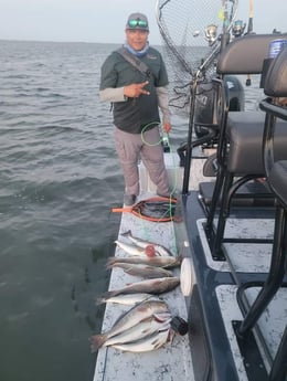 Redfish, Speckled Trout Fishing in South Padre Island, Texas