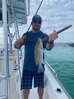 Mangrove Snapper Fishing in Destin, Florida