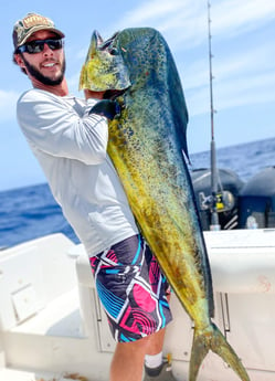 Mahi Mahi / Dorado fishing in Charleston, South Carolina