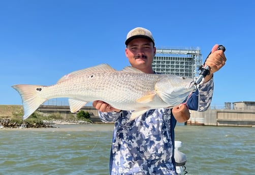 Redfish Fishing in Galveston, Texas