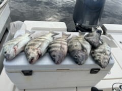 Fishing in Port Orange, Florida