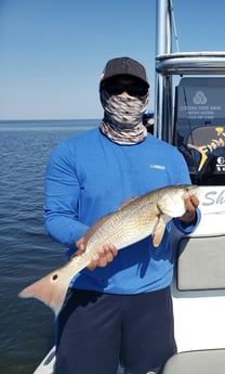 Redfish, Sheepshead fishing in Port Isabel, Texas