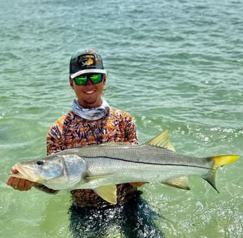 Snook Fishing in Sarasota, Florida