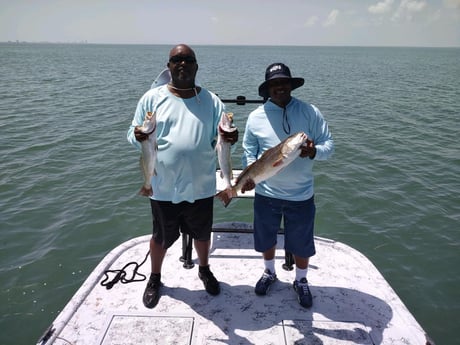 Redfish, Speckled Trout / Spotted Seatrout fishing in South Padre Island, Texas