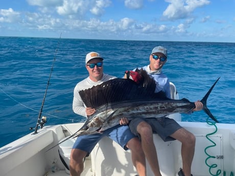 Sailfish Fishing in Marathon, Florida