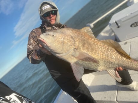 Black Drum fishing in Galveston, Texas