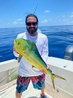 Mahi Mahi / Dorado fishing in Marathon, Florida