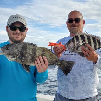 Black Drum, Sheepshead fishing in Mount Pleasant, South Carolina