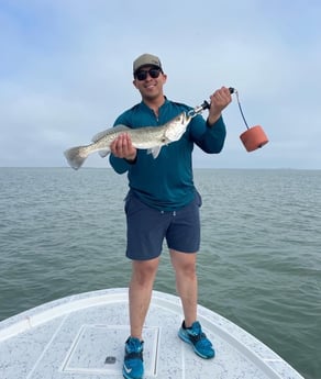 Speckled Trout / Spotted Seatrout fishing in Port Isabel, Texas