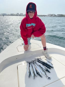 Spanish Mackerel Fishing in Santa Rosa Beach, Florida, USA