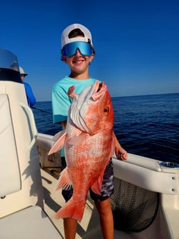 Red Snapper Fishing in Boothville-Venice, LA, USA