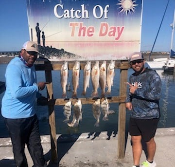 Black Drum, Redfish Fishing in Rockport, Texas