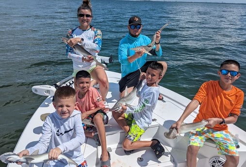 Bonnethead Shark fishing in Tampa, Florida