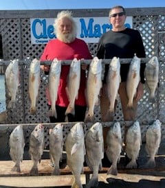 Black Drum, Redfish Fishing in Corpus Christi, Texas