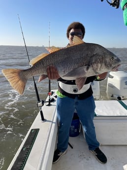 Black Drum fishing in Galveston, Texas