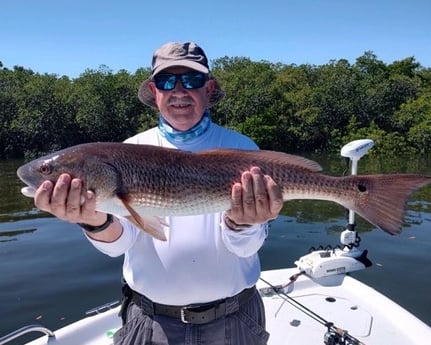 Redfish Fishing in Crystal River, Florida