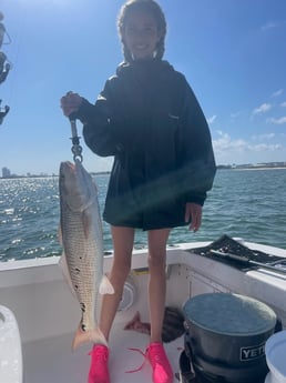 Redfish Fishing in Orange Beach, Alabama