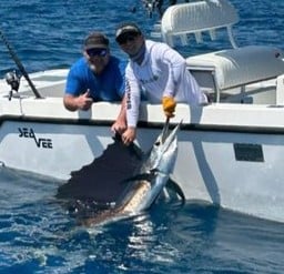 Sailfish Fishing in Key Largo, Florida