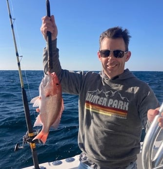 Red Snapper Fishing in Orange Beach, Alabama