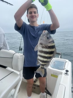 Sheepshead Fishing in Mount Pleasant, South Carolina