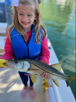 Snook fishing in Sarasota, Florida