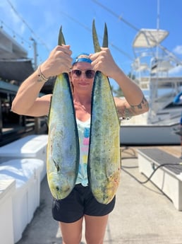 Mahi Mahi Fishing in Key West, Florida