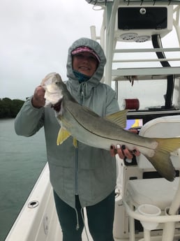 Goliath Grouper fishing in Key West, Florida