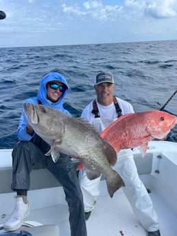 Gag Grouper fishing in Port Orange, Florida