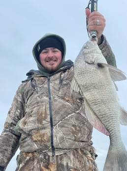 Black Drum Fishing in Rockport, Texas