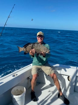 Black Grouper fishing in Marathon, Florida