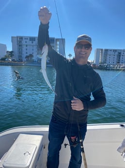 Ladyfish Fishing in Destin, Florida