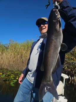 Fishing in Fort Lauderdale, Florida