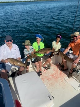 Gag Grouper Fishing in Bradenton, Florida