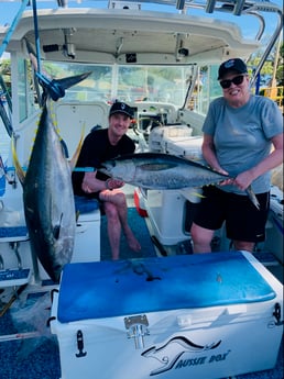 Yellowfin Tuna fishing in Kapa&#039;a, Hawaii