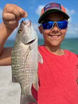 Fishing in Sarasota, Florida