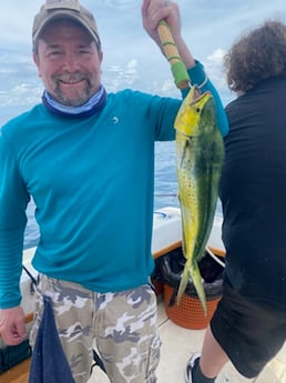 Mahi Mahi / Dorado fishing in Destin, Florida