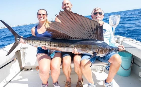 Sailfish Fishing in Boynton Beach, Florida