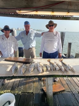 Speckled Trout / Spotted Seatrout fishing in Galveston, Texas