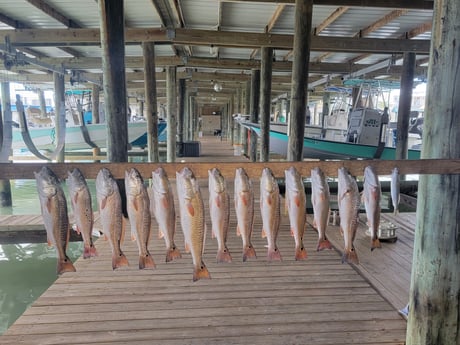 Redfish fishing in Port O&#039;Connor, Texas