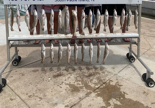 Redfish, Speckled Trout / Spotted Seatrout fishing in South Padre Island, Texas