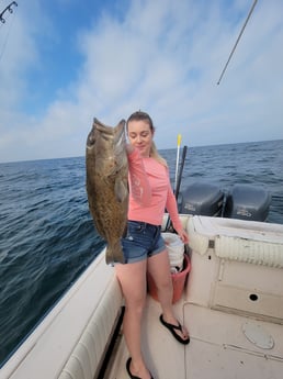 Gag Grouper fishing in Clearwater, Florida