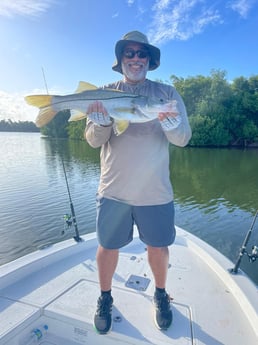 Snook fishing in San Juan, Puerto  Rico