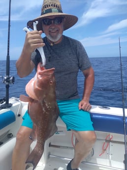 Albacore Tuna fishing in Clearwater, Florida